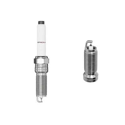 Iridijum platinasta svjećica ILNFR7A7G 94524