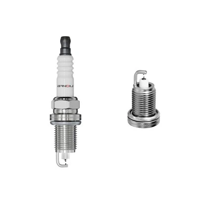 Iridium svjećica izfriz 4080